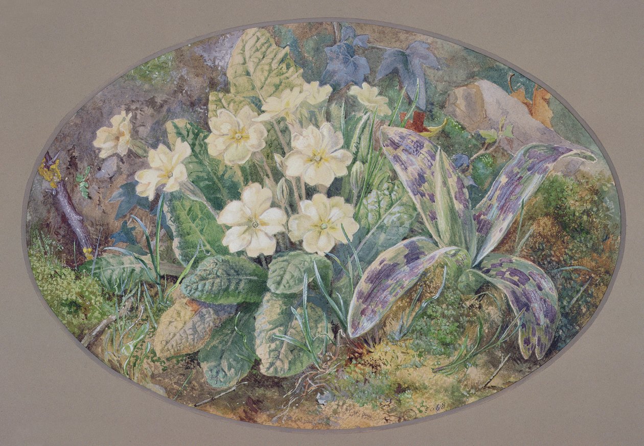 Primavera y Orquídea de Thomas Collier