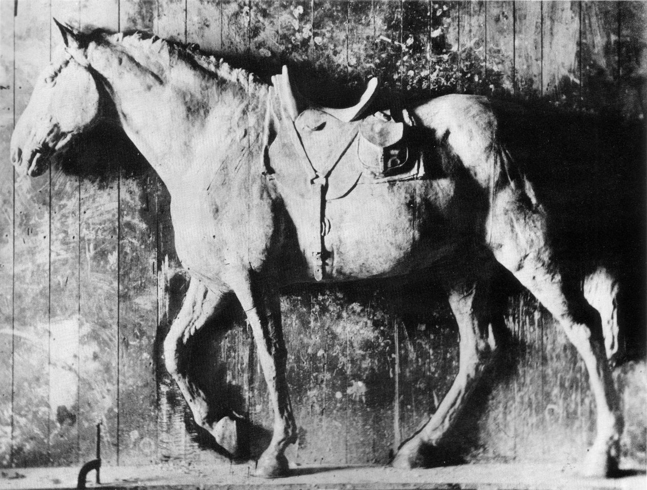 Clinker de Thomas Eakins