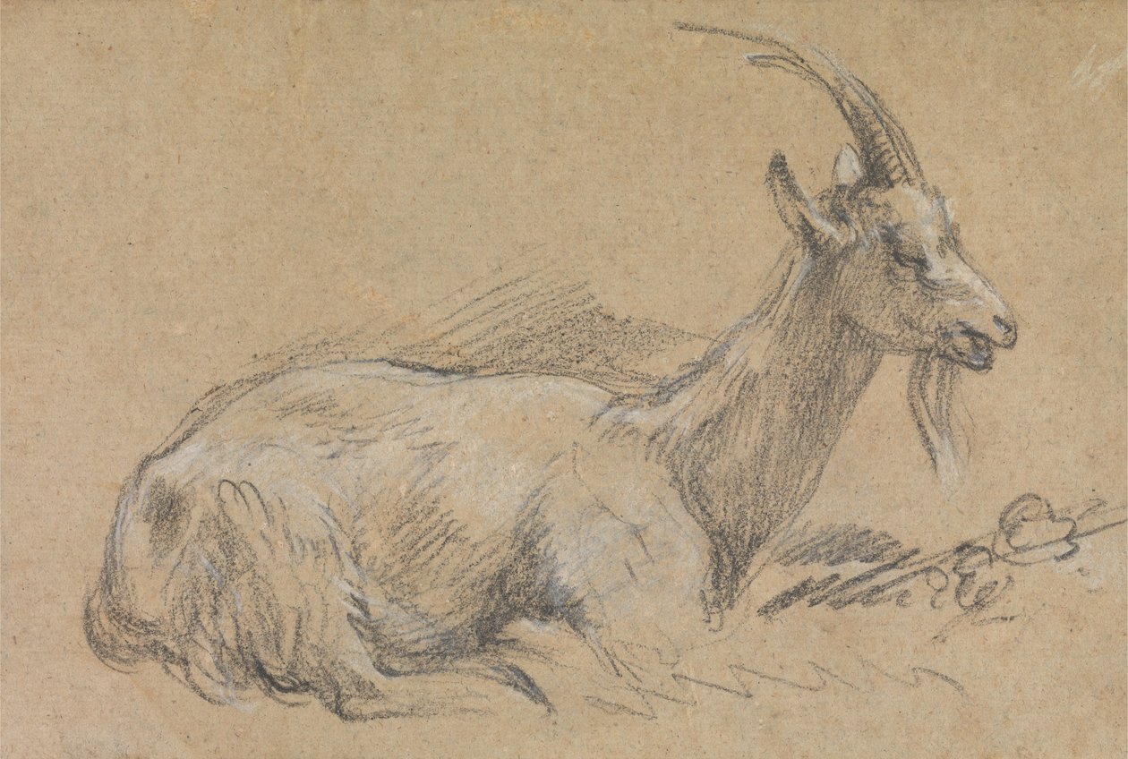 Estudio de una cabra de Thomas Gainsborough
