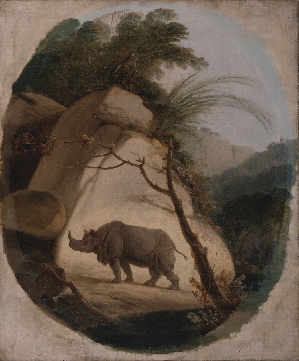 El rinoceronte indio de Thomas Daniell