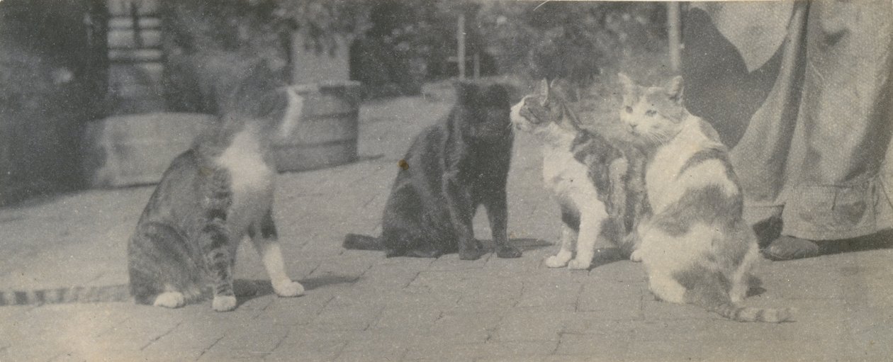 Cuatro gatos, ca. 1895 de Thomas Eakins
