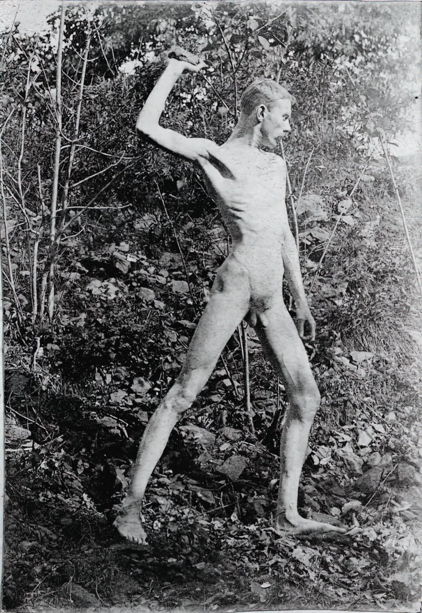Lanzador de rocas, c. 1883 de Thomas Eakins