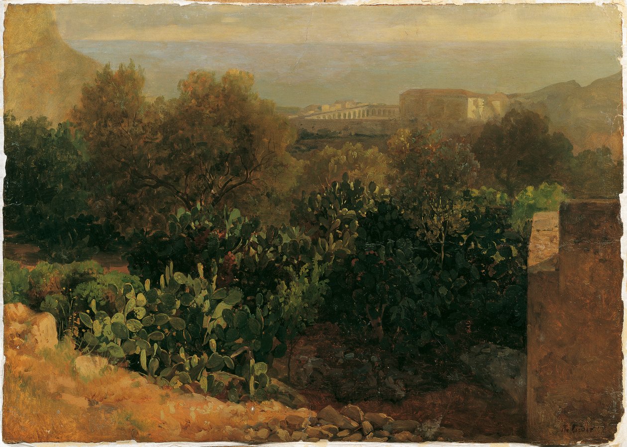 paisaje del sur con cactus de Thomas Ender