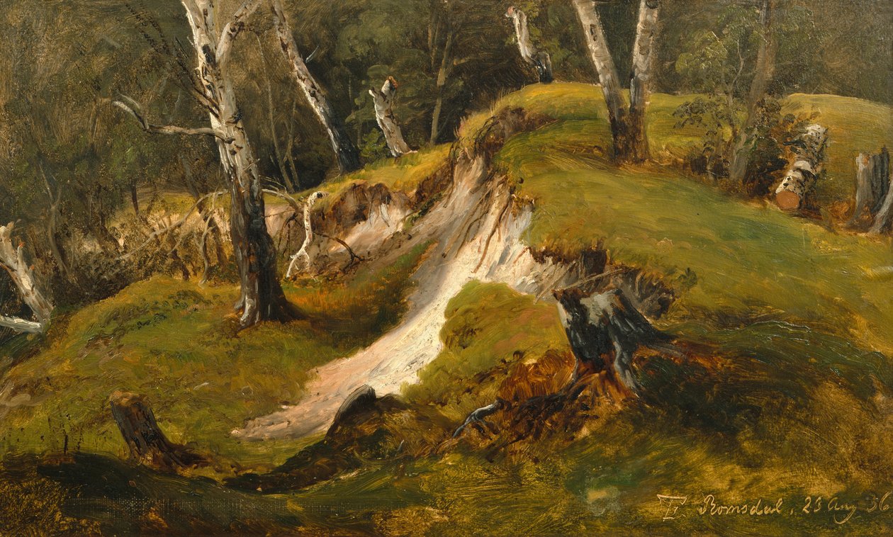Poblaciones de Birck en Romsdal de Thomas Fearnley