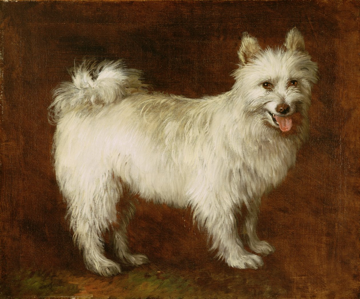Perro Spitz, c.1760-70 de Thomas Gainsborough