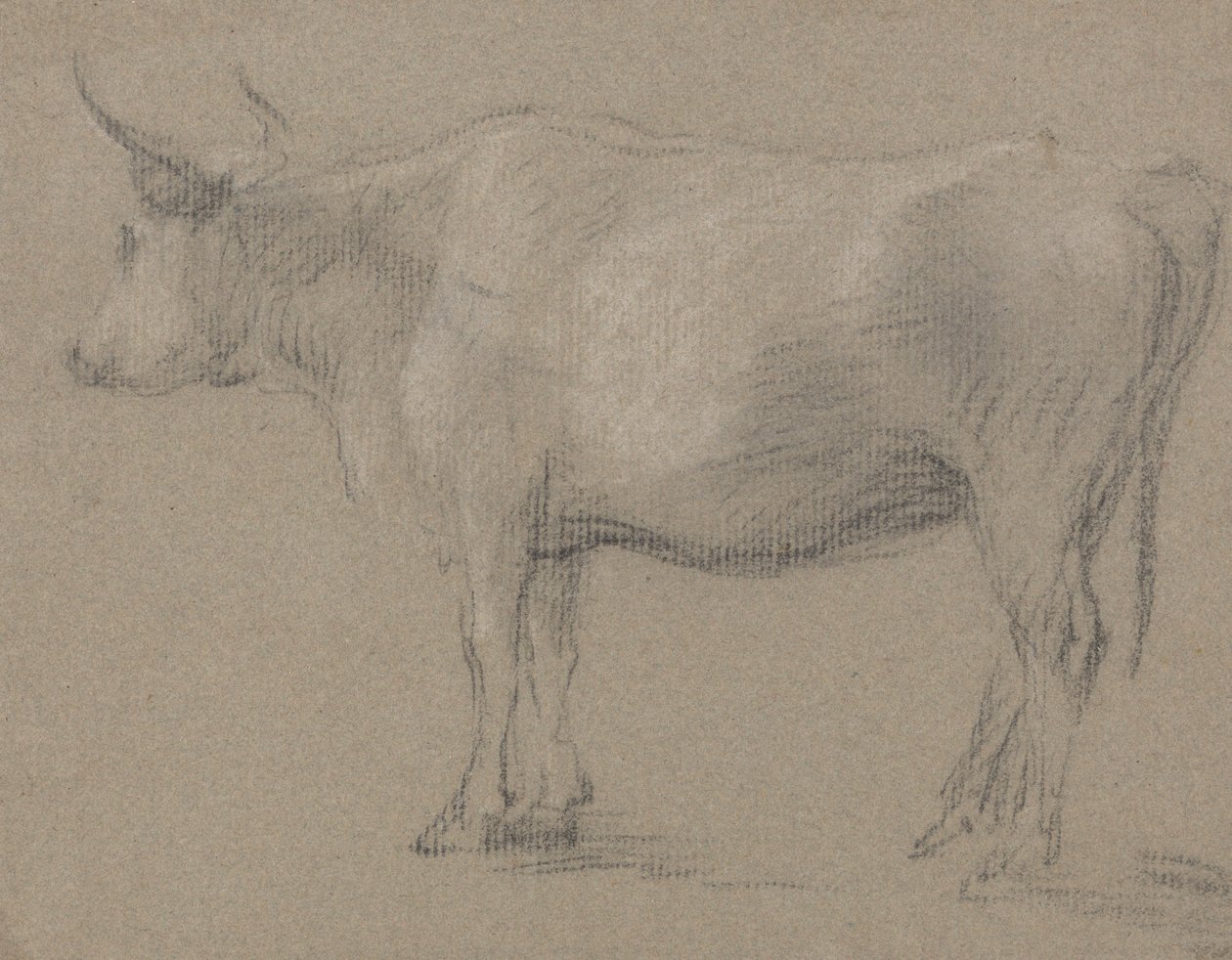Estudio de una vaca de Thomas Gainsborough