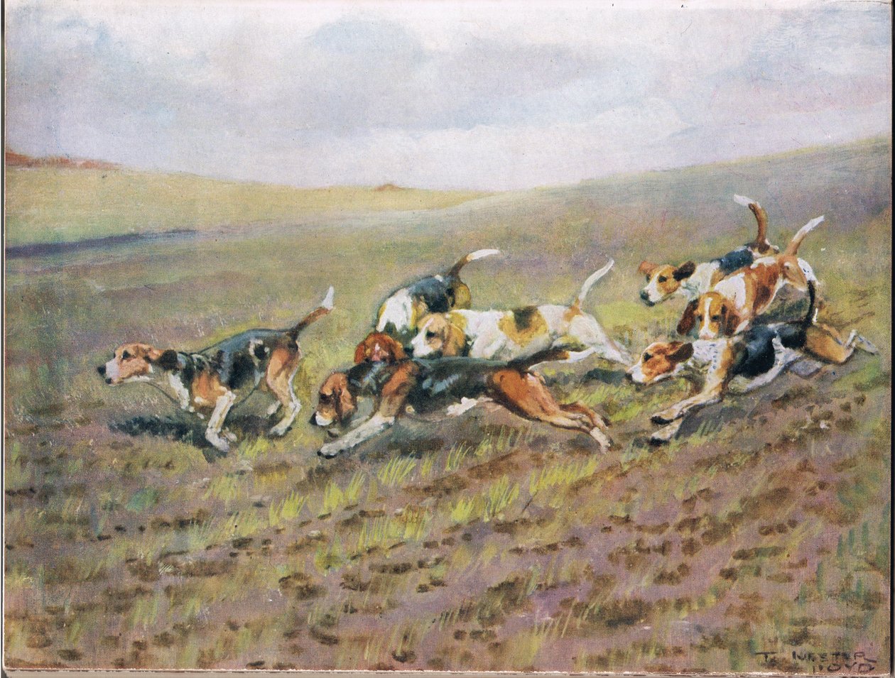 Cruzando los campos, ilustración de 