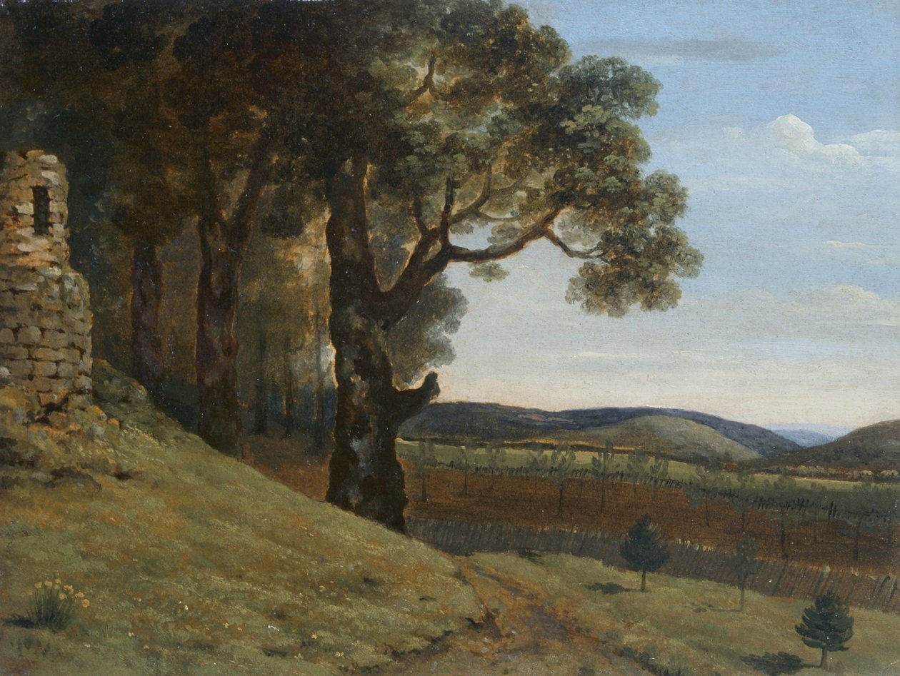 Campo cercano a Pencerrig de Thomas Jones