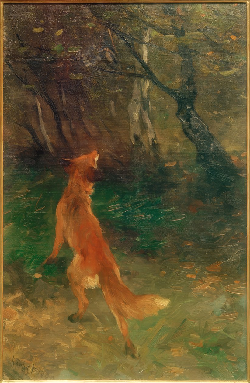 Zorro observando un pájaro de Thomas Ludwig Herbst