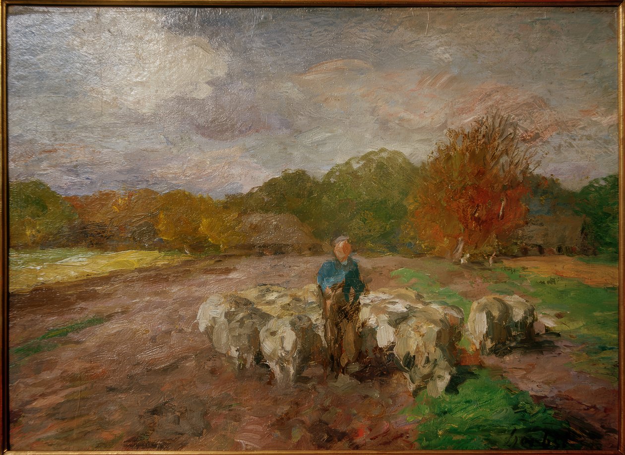 Rebaño de ovejas a la luz del sol de Thomas Ludwig Herbst