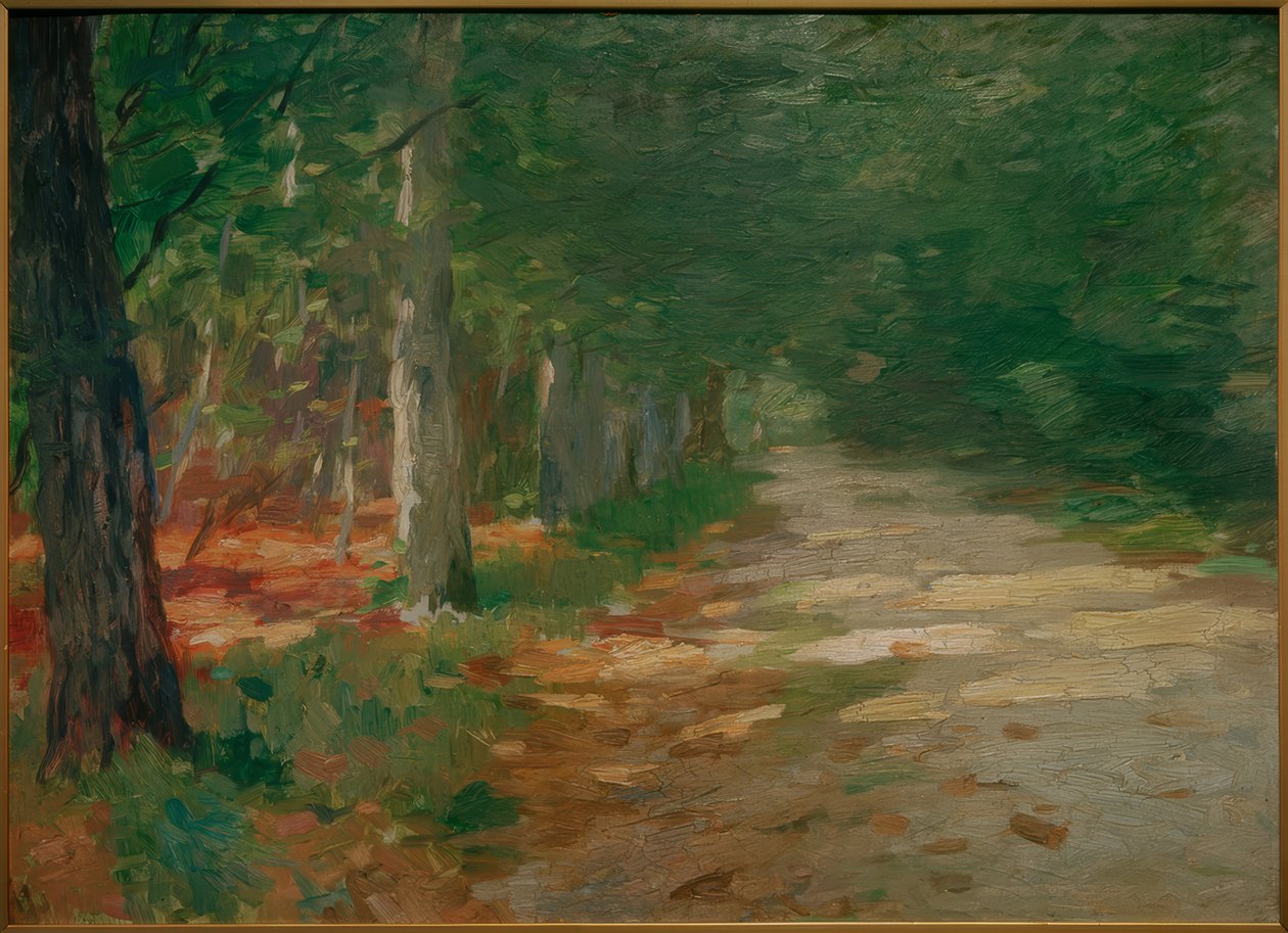 Camino forestal con manchas de sol de Thomas Ludwig Herbst