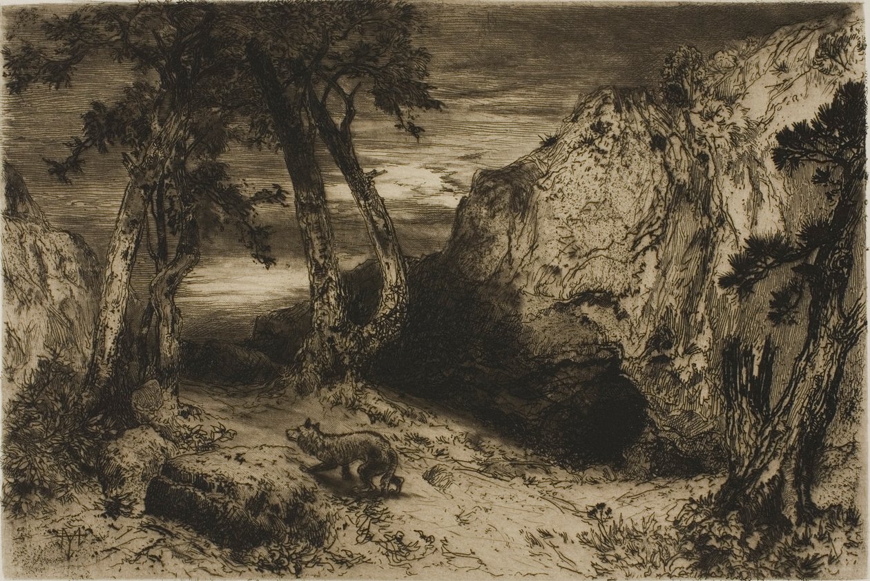 El coyote - Arizona de Thomas Moran
