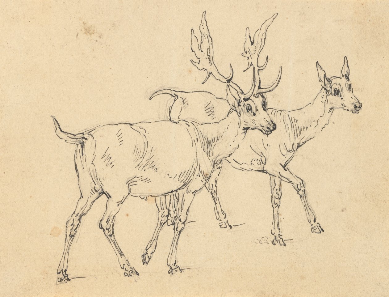 Dibujo del álbum de Thomas Rowlandson