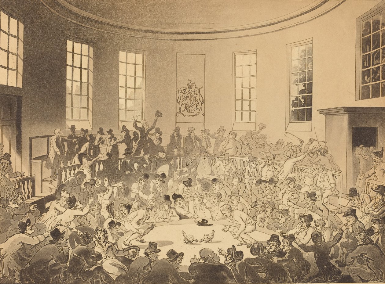 Royal Cock Pit, publicado en 1808 de Thomas Rowlandson
