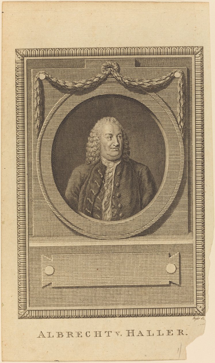 Albrecht V. Haller de Thomas Ryder