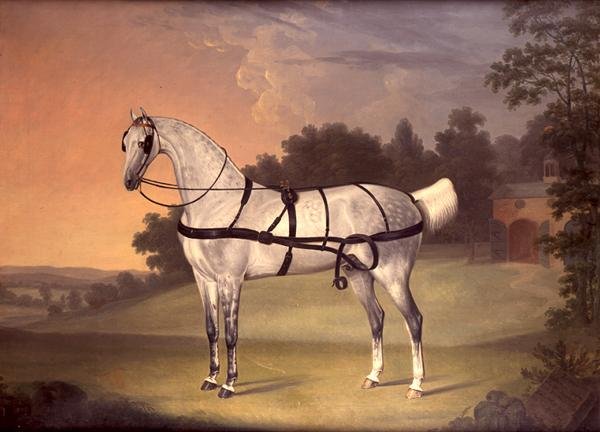 Retrato de belleza, de diez años de Thomas Stringer