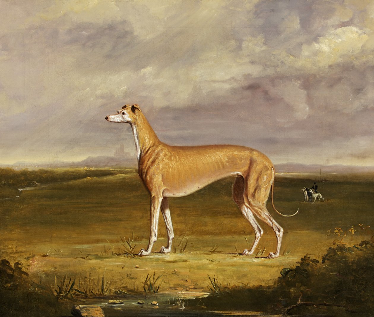 El galgo, c.1830 de Thomas W. Bretland