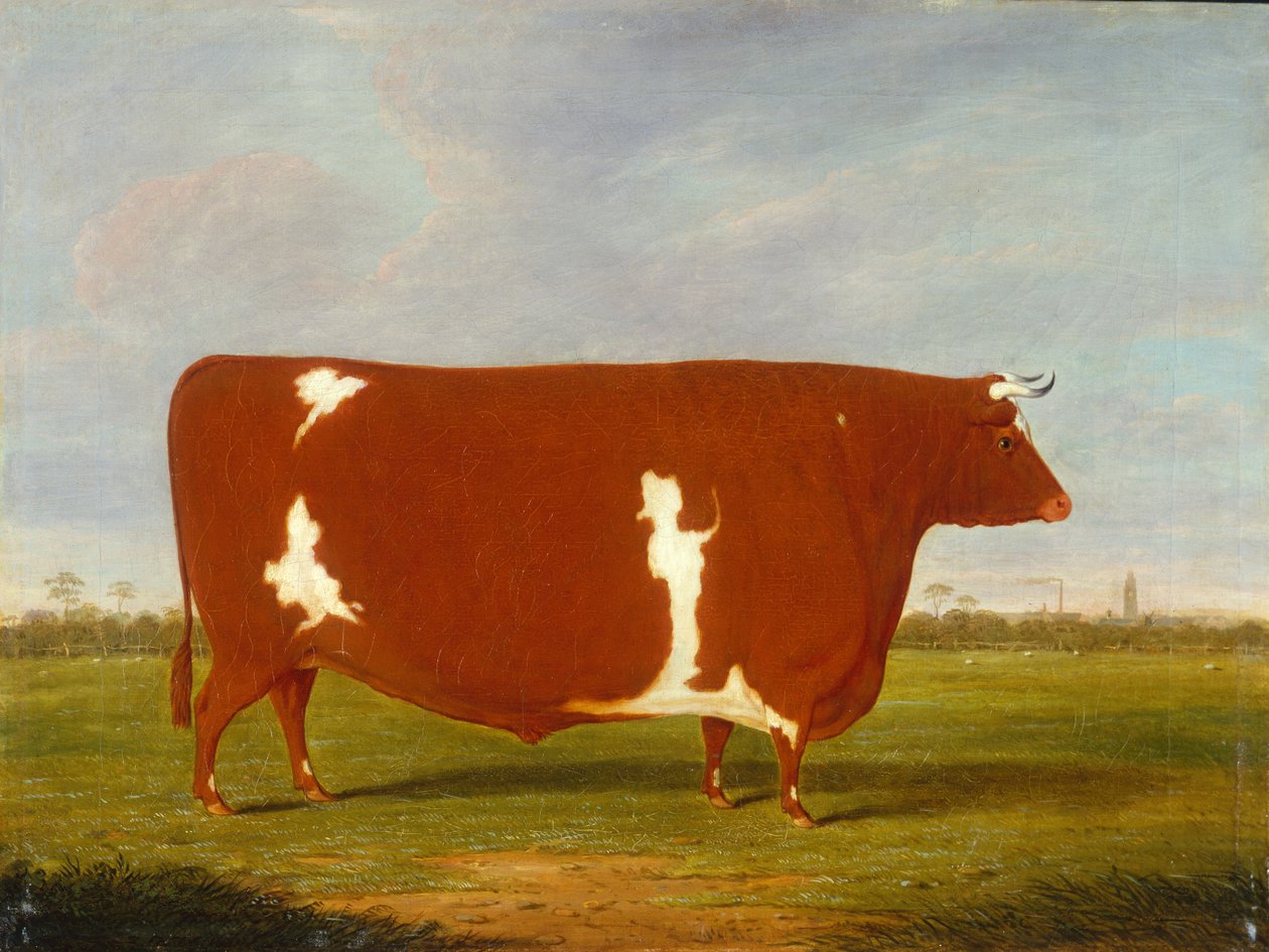 Un toro premiado de pie en un paisaje de Thomas Weaver