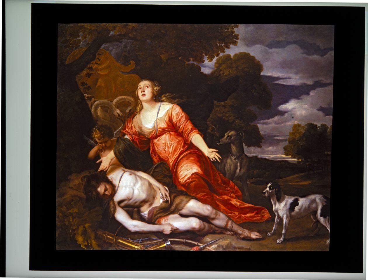 La muerte de Adonis de Thomas Willeboirts Bosschaert