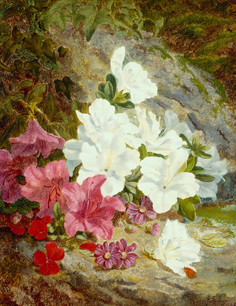 Azaleas de Thomas Worsey