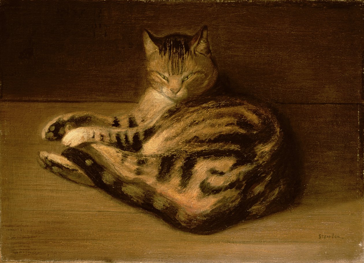 Gato recostado, 1898 de Théophile Alexandre Steinlen