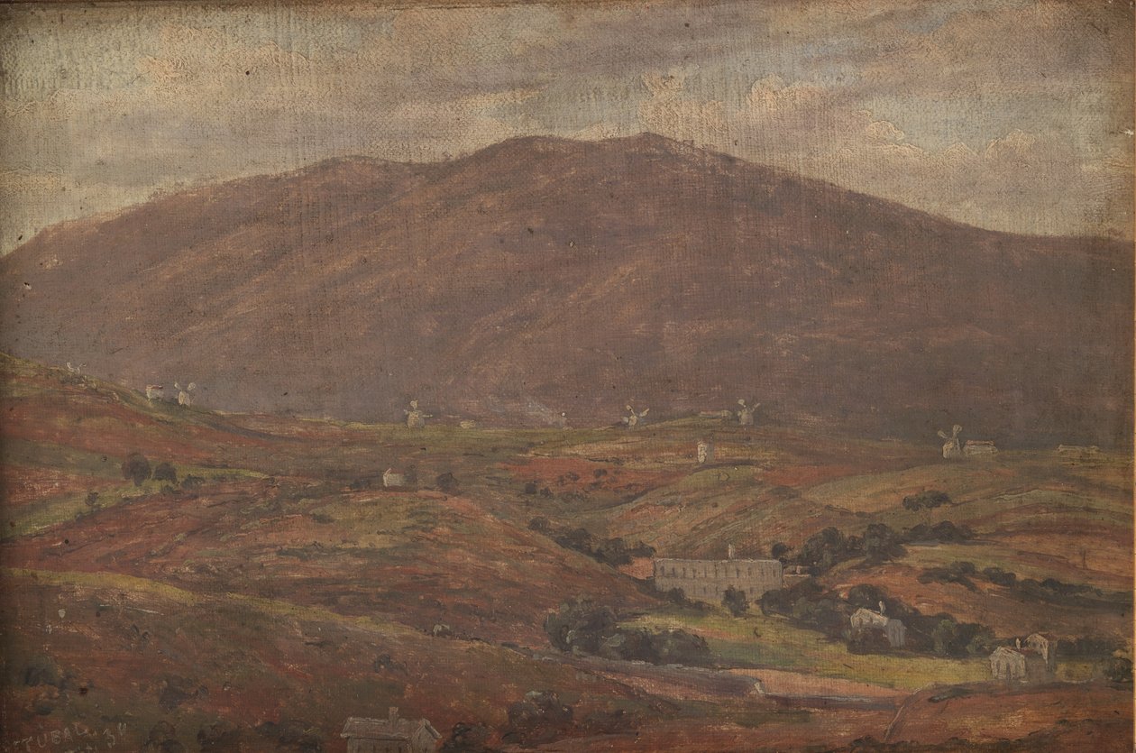 Paisaje cerca de Setúbal, Portugal de Thorald Brendstrup