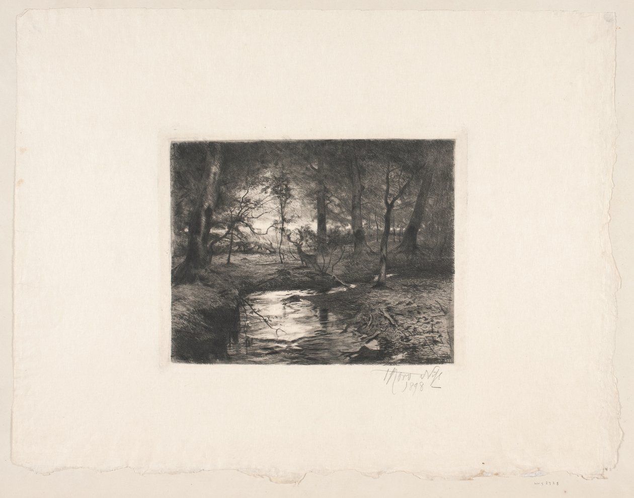Aa en el bosque de Borrevejle de Thorvald Niss