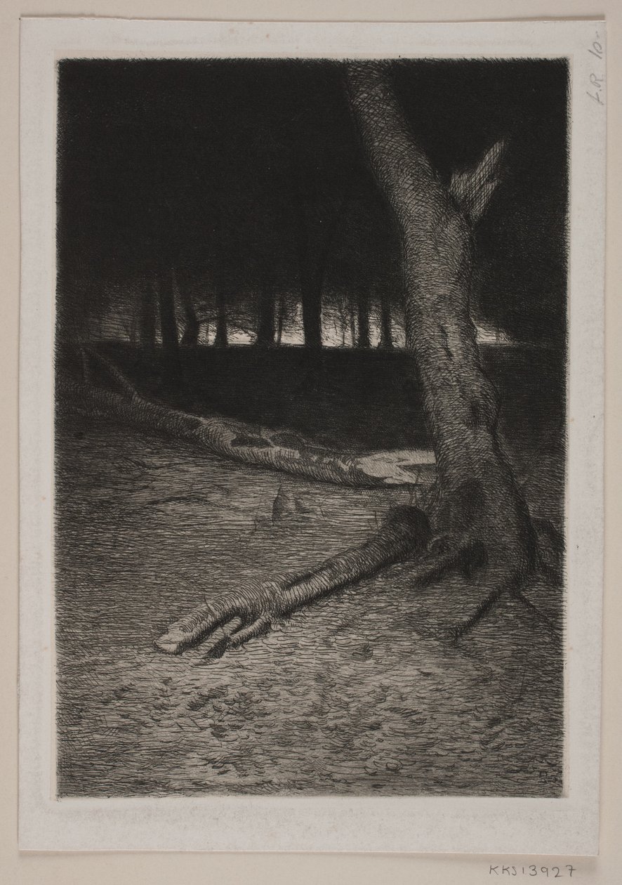 Paisaje forestal al atardecer de Thorvald Niss