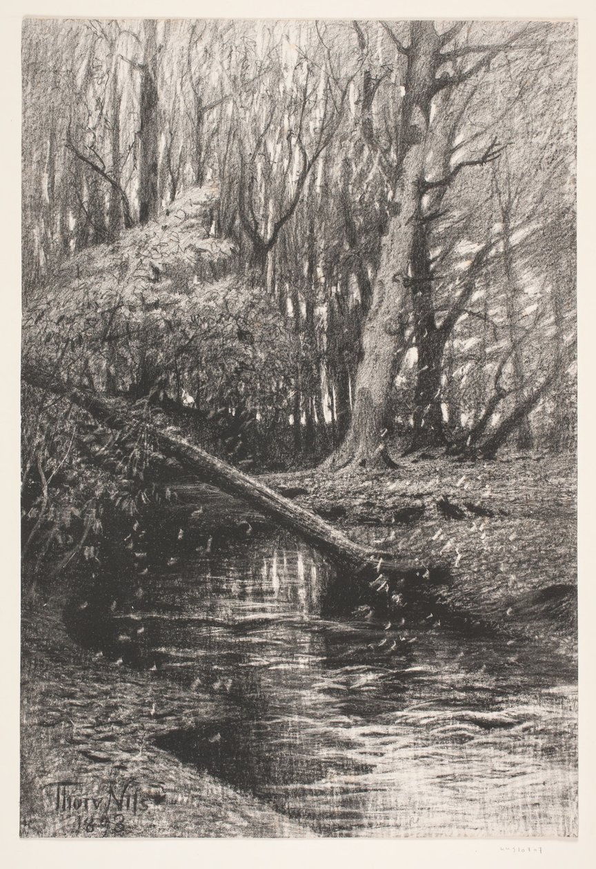 Paisaje forestal con un arroyo de Thorvald Niss