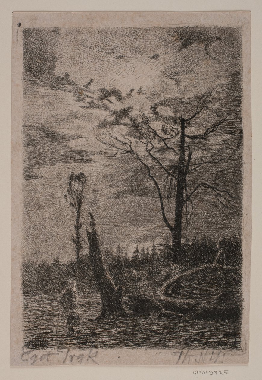 Desmonte. Tarde de Thorvald Niss