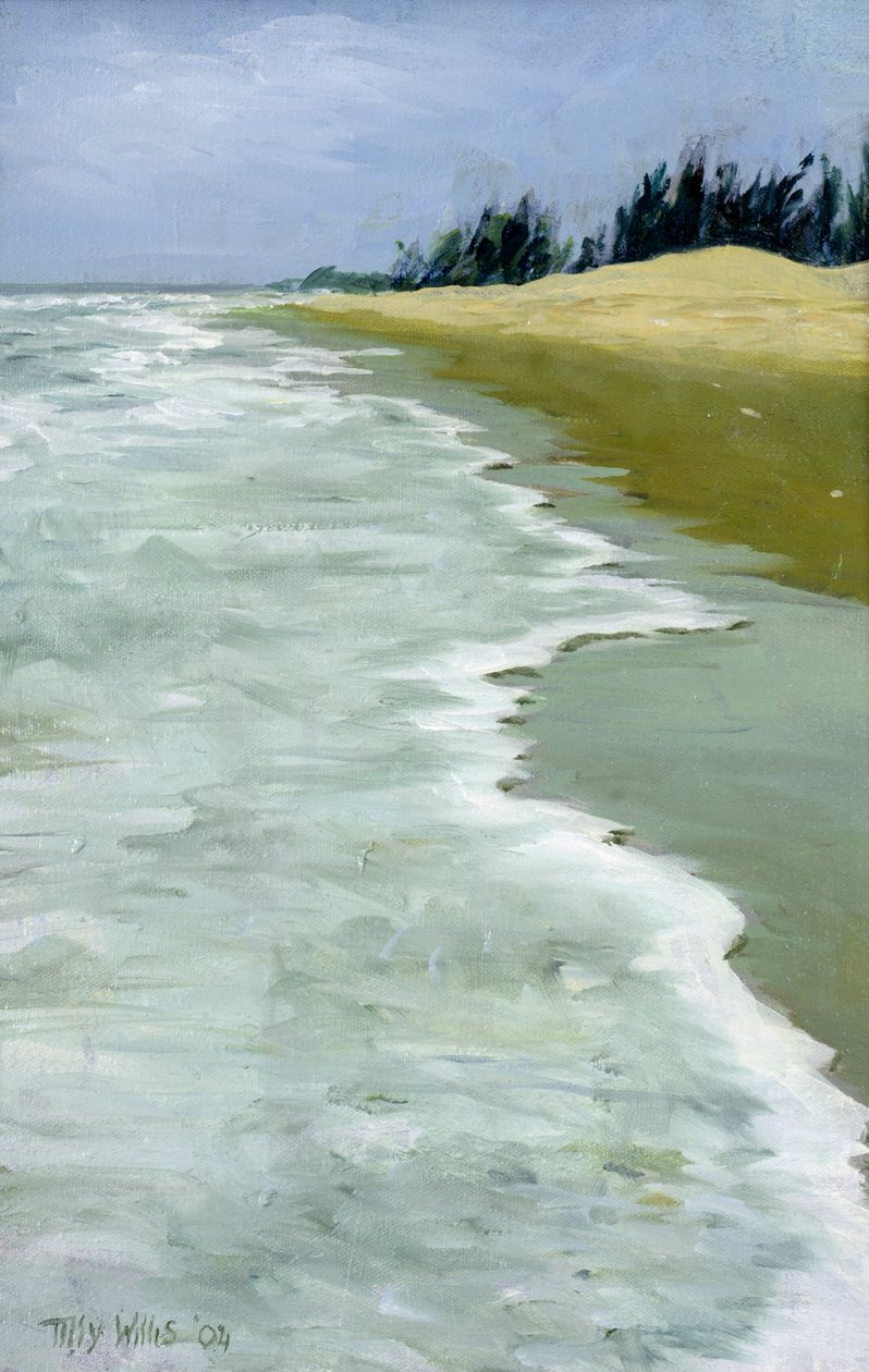 La playa, 2004 de Tilly Willis