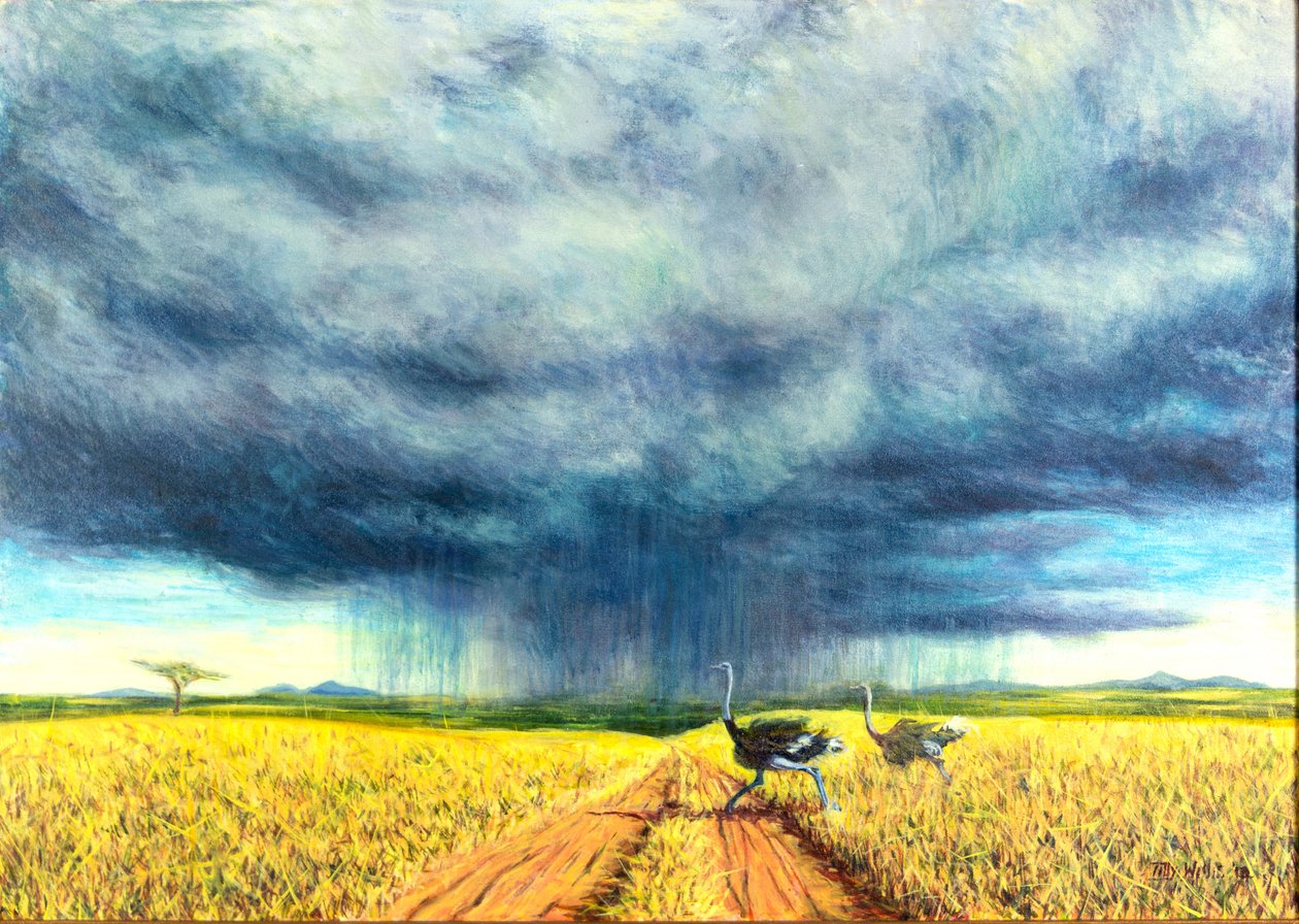 Tormenta africana, 2016 de Tilly Willis
