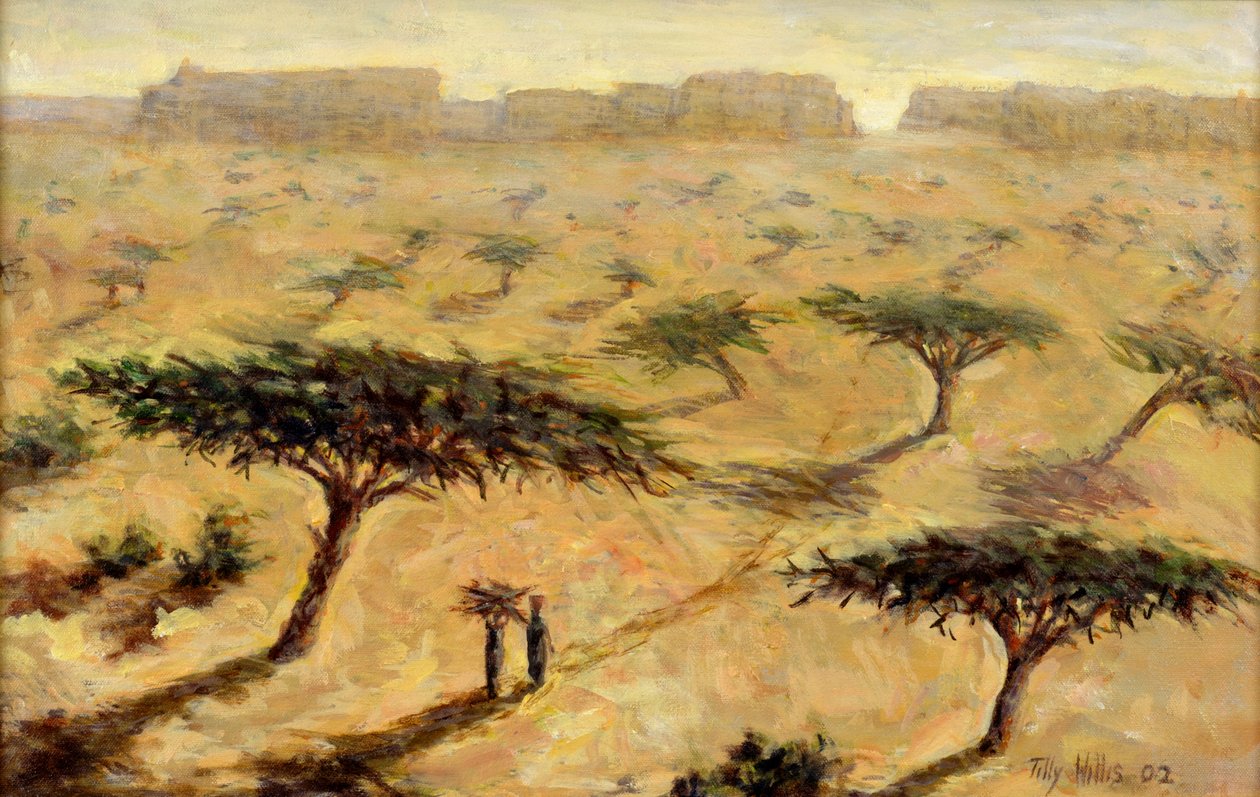 Paisaje saheliano, 2002 de Tilly Willis