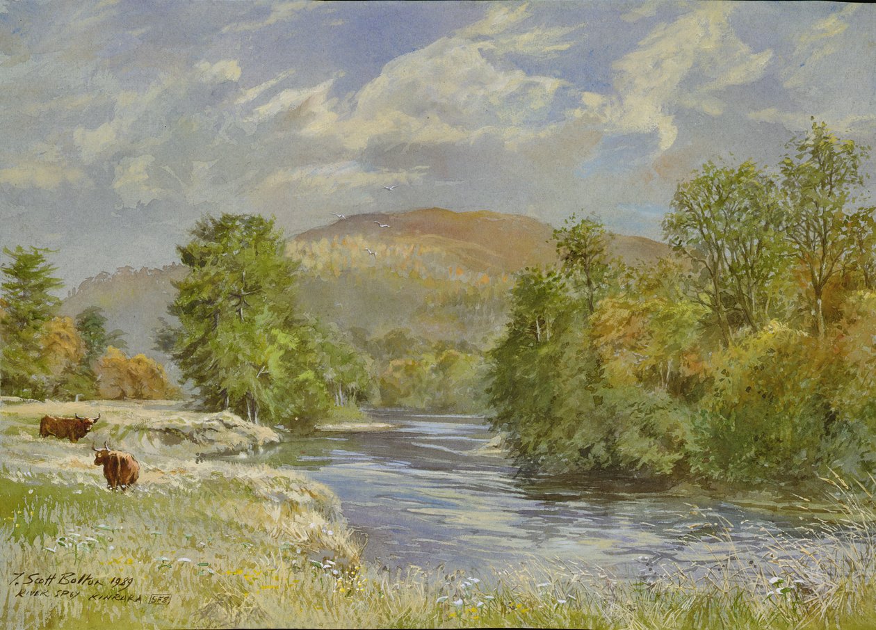 Río Spey, Kinrara, 1989 de Tim Scott Bolton