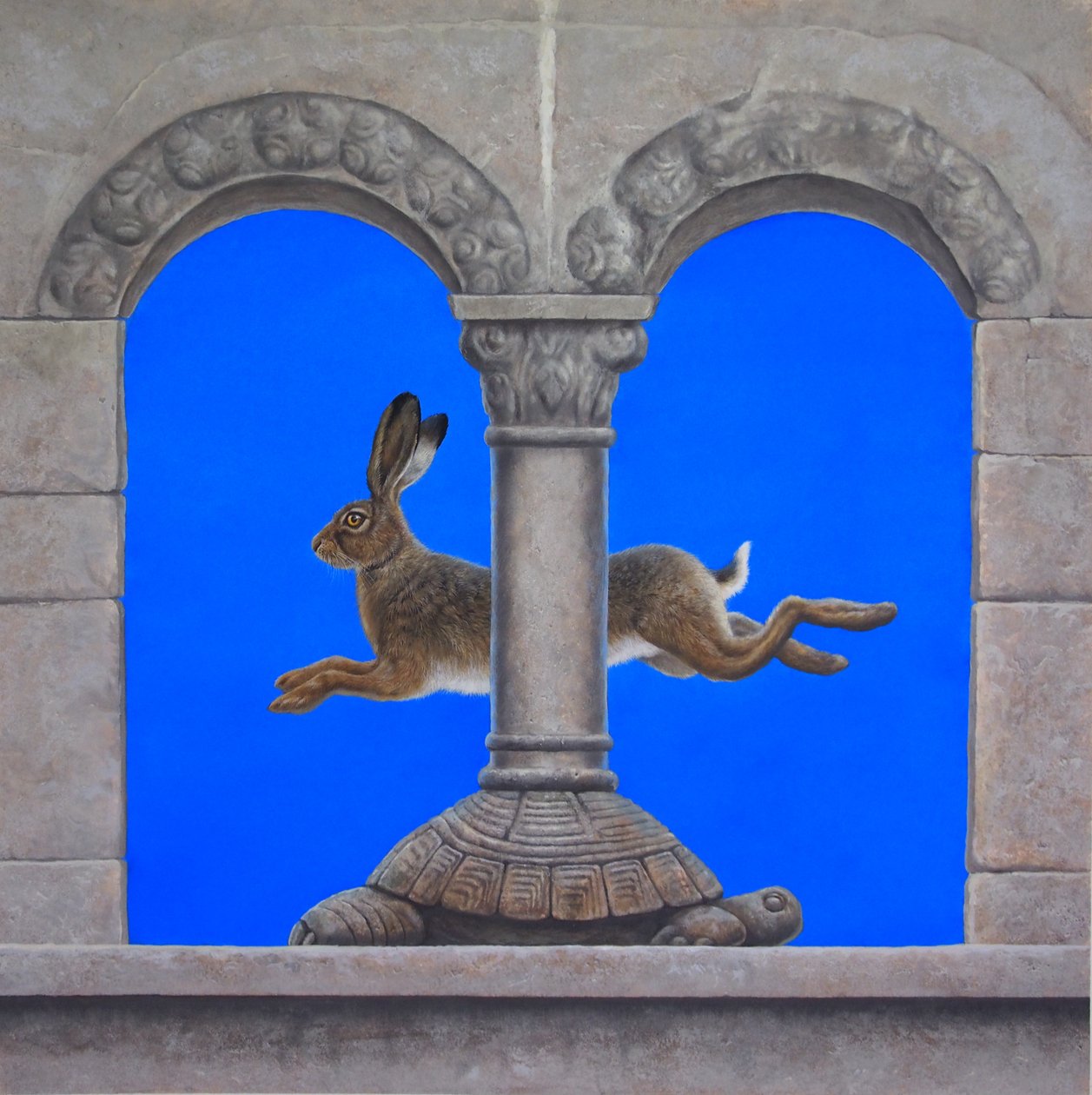 La liebre y la tortuga de Tim Hayward