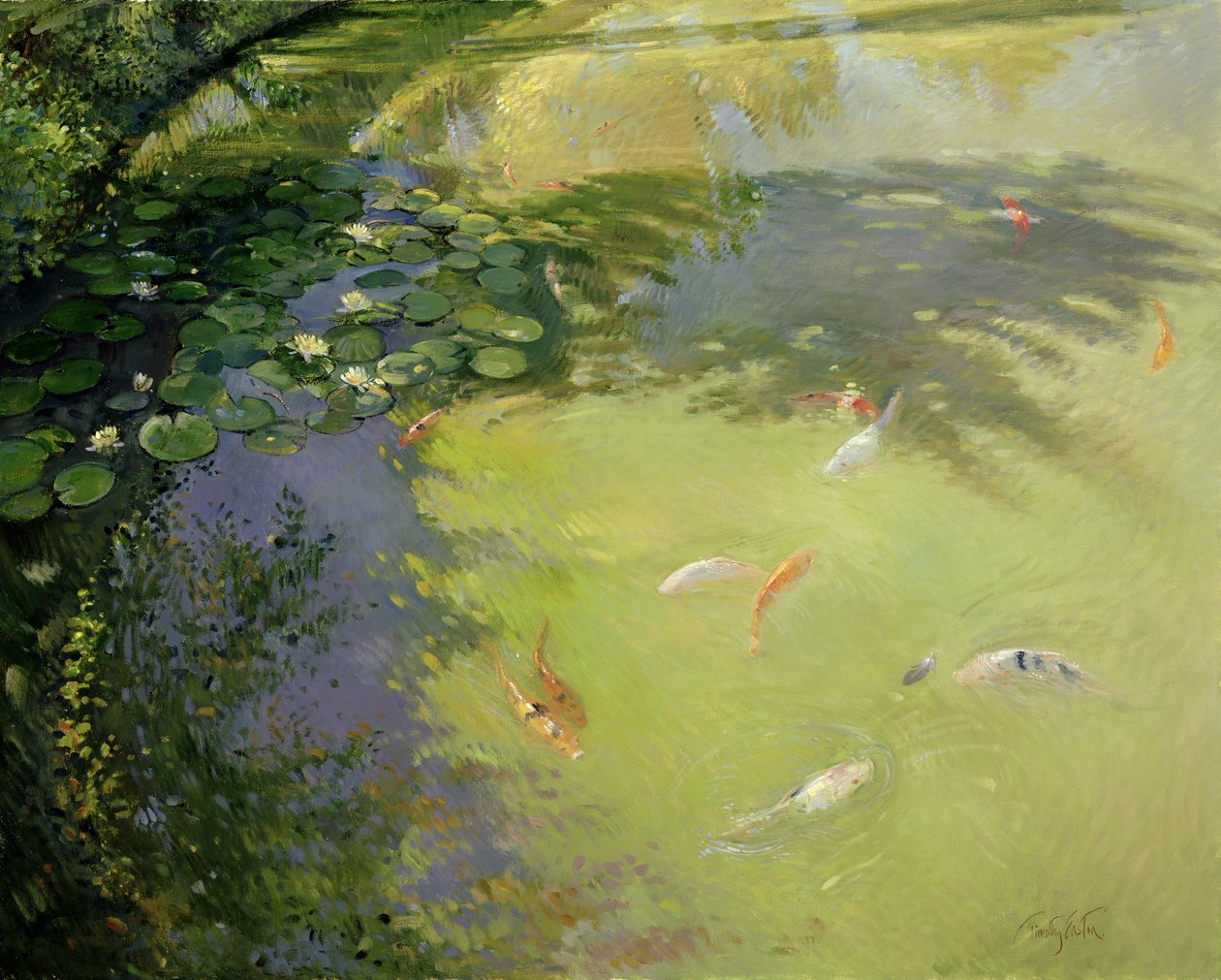 Juego de plumas de Timothy Easton