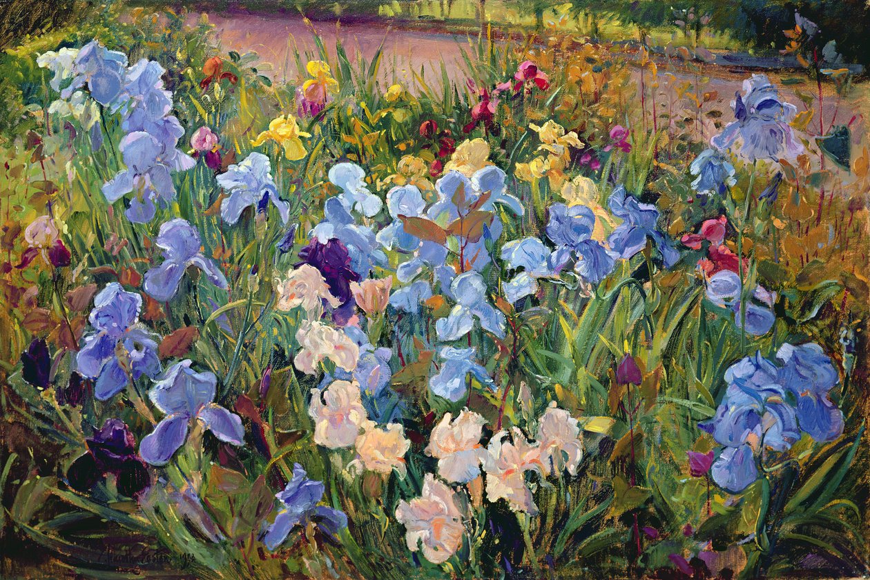 El lecho de lirios, 1993 de Timothy Easton
