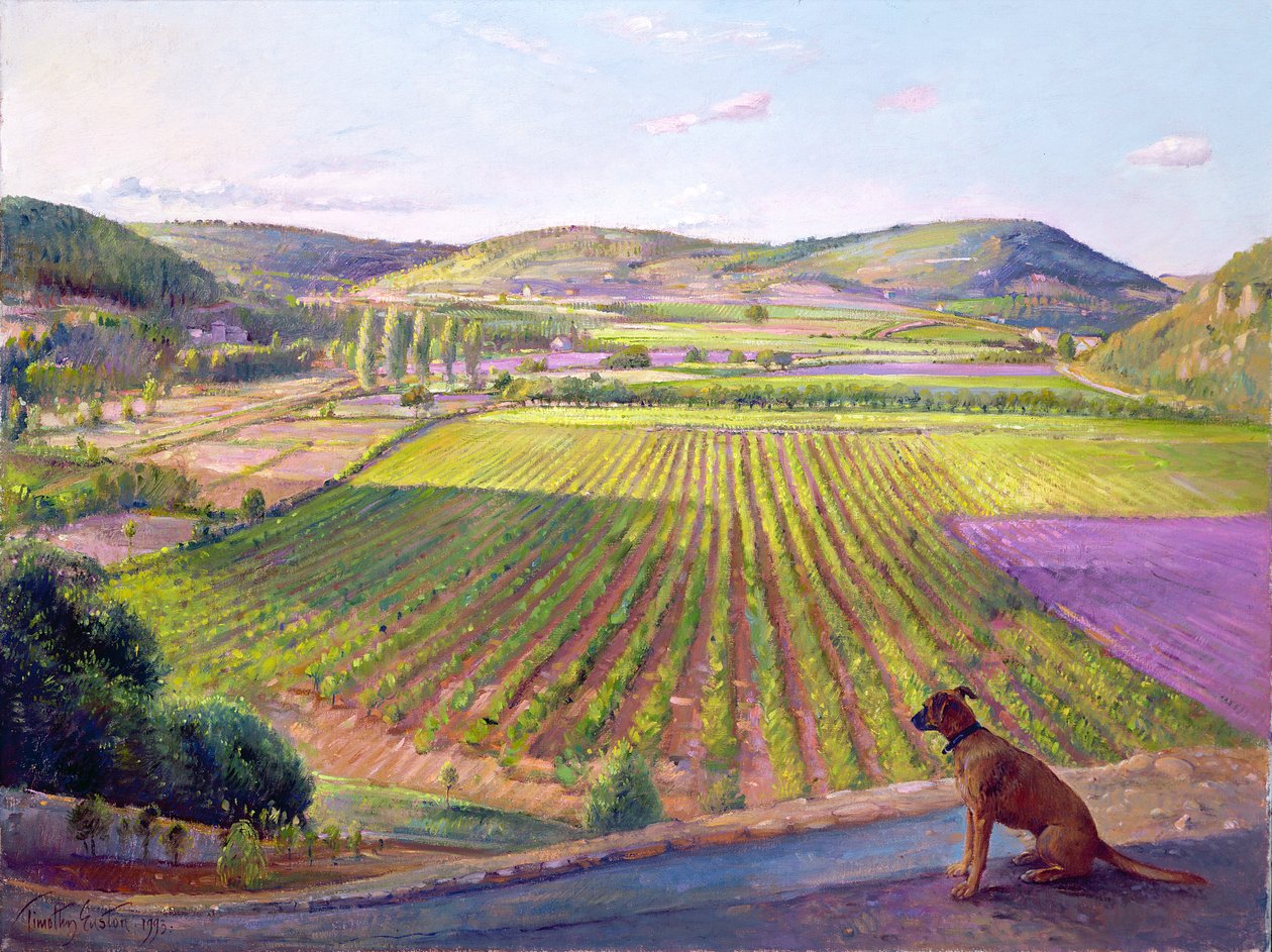 Observando desde las murallas, Vieja Provenza, 1993 de Timothy Easton