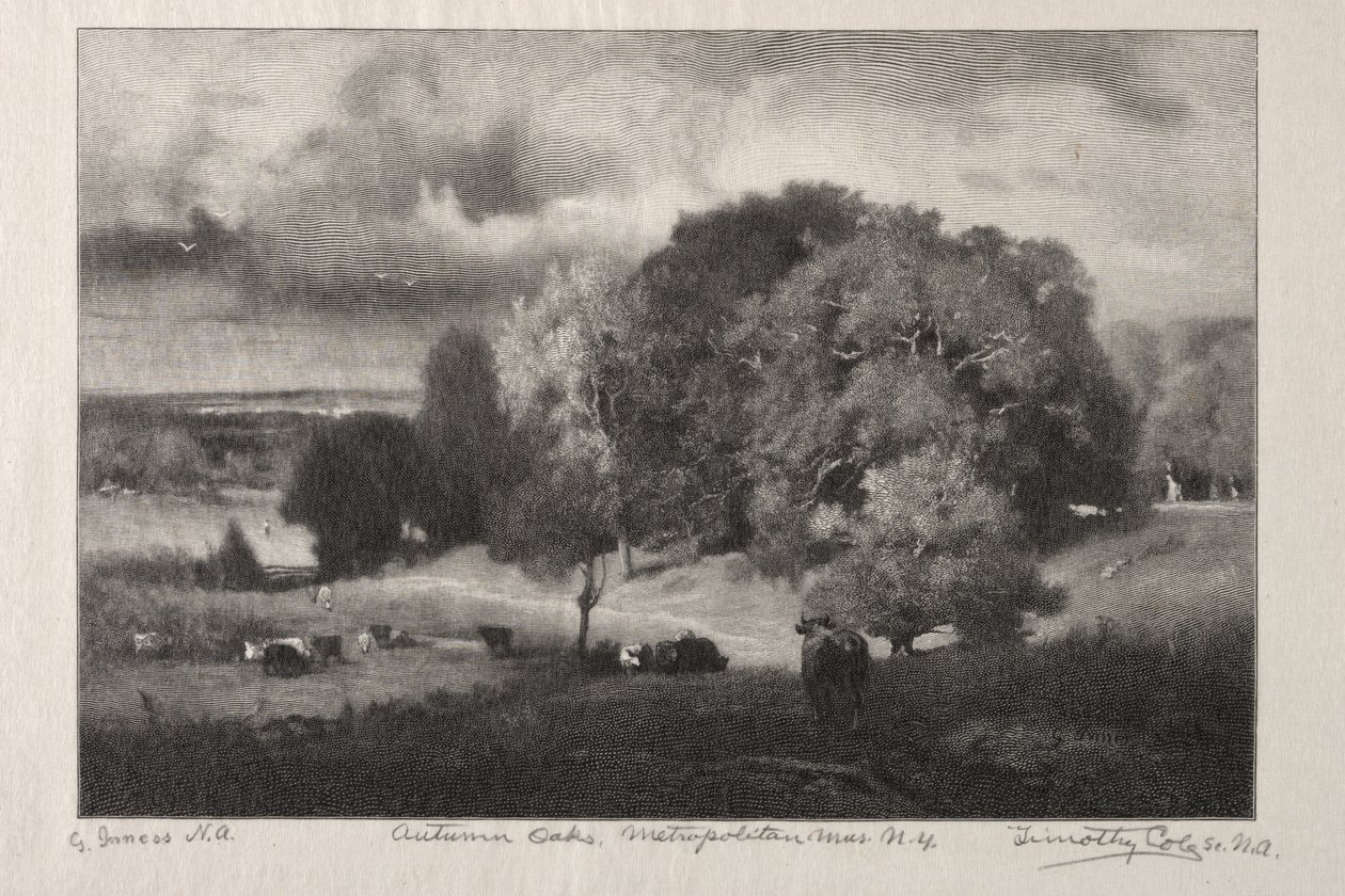 Robles de otoño de Timothy Cole