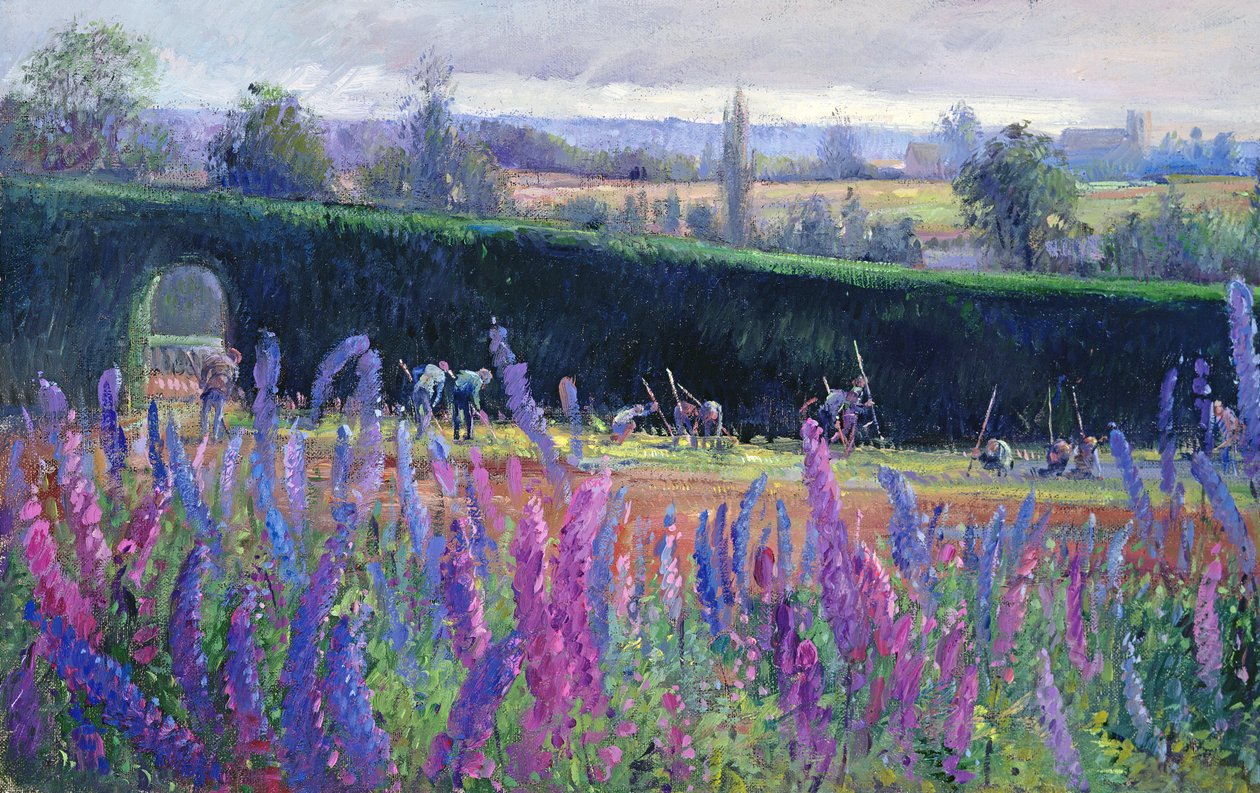 Desherbando contra el seto de Timothy Easton