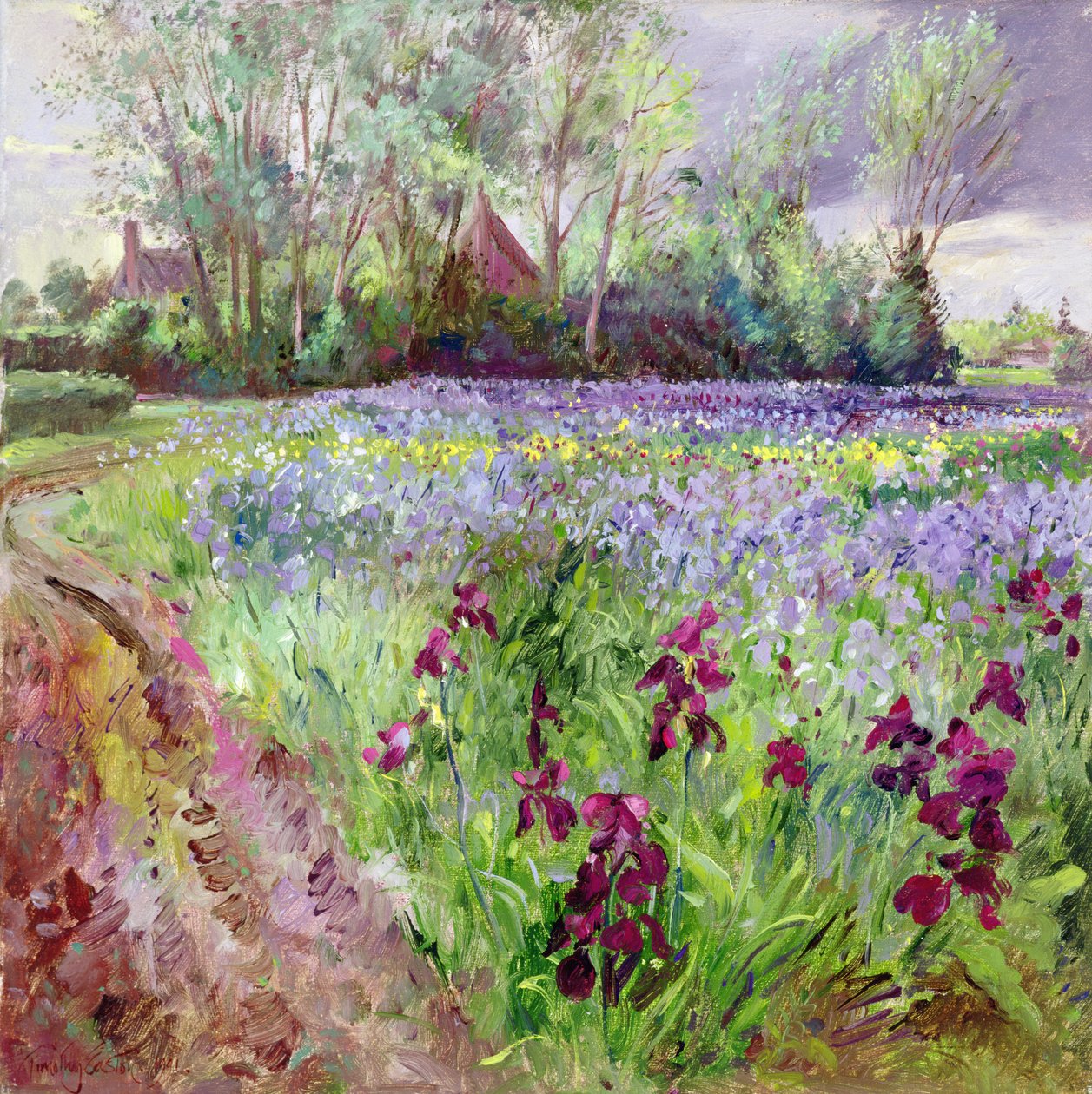 Campo de iris, tormenta en formación de Timothy Easton