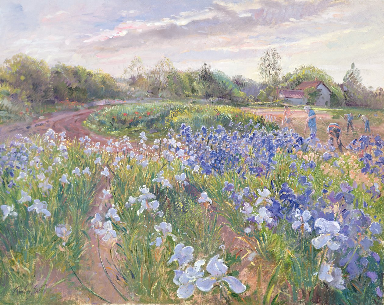 Reflejo del sol en lirios, 1996 de Timothy Easton