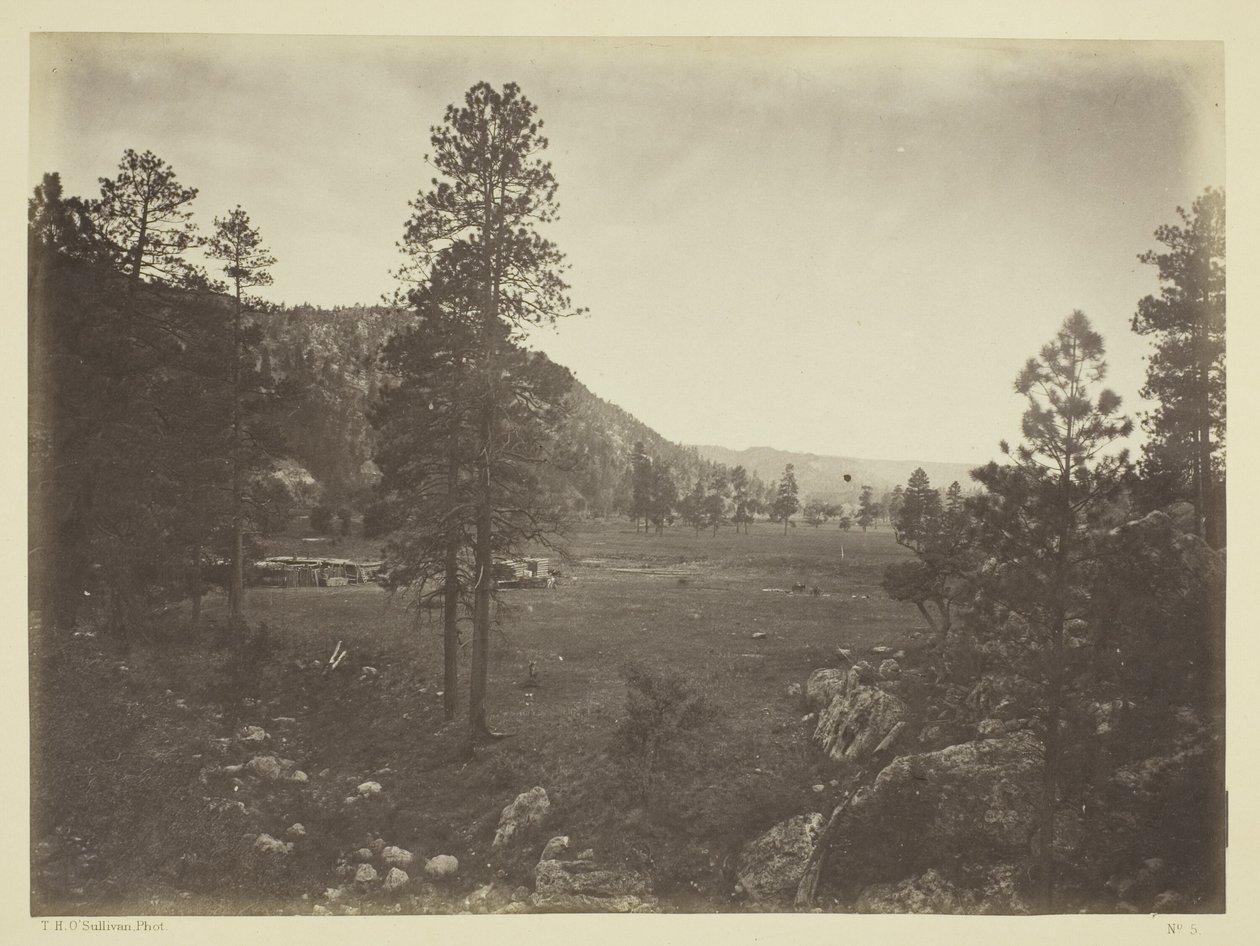 Parque Cooley, Sierra Blanca, Arizona de Timothy O