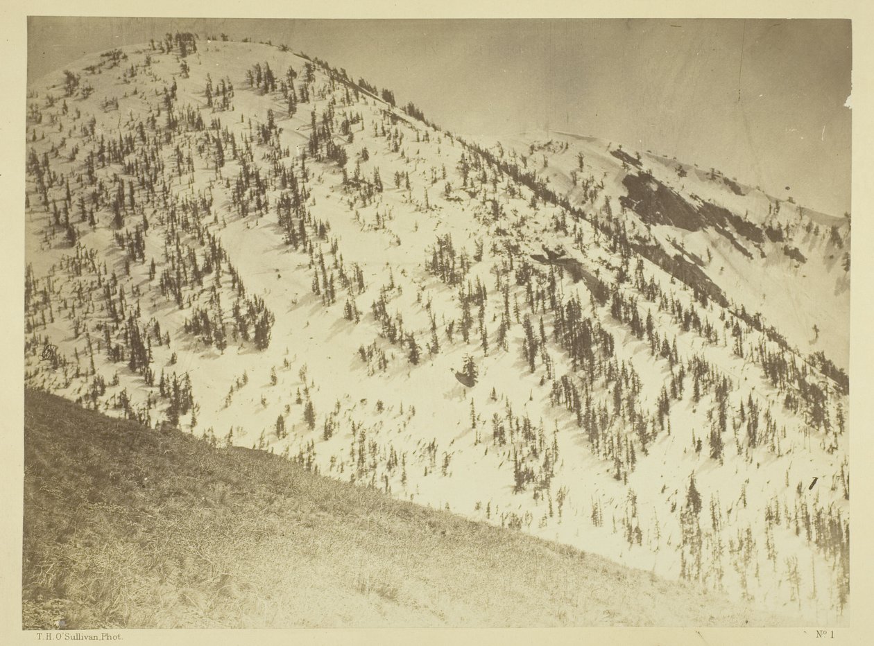Snow Peaks, Distrito Minero de Bull Run, Nevada de Timothy O
