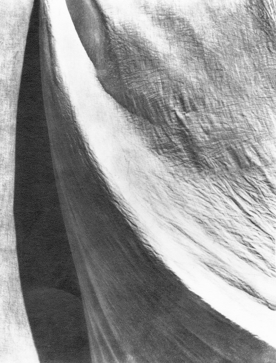 Tela, México, 1924 de Tina Modotti