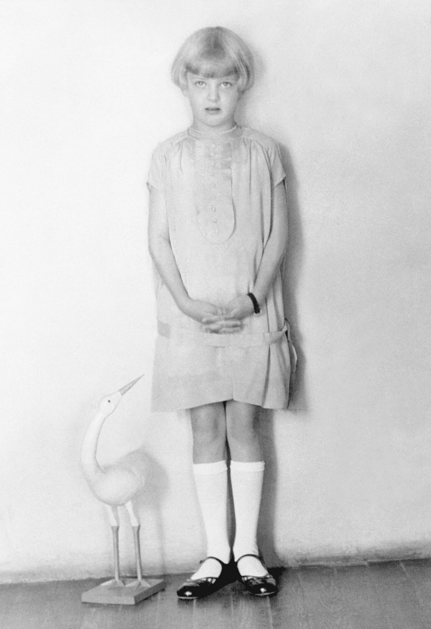 Niña con cigüeña, Ciudad de México, c.1926 de Tina Modotti