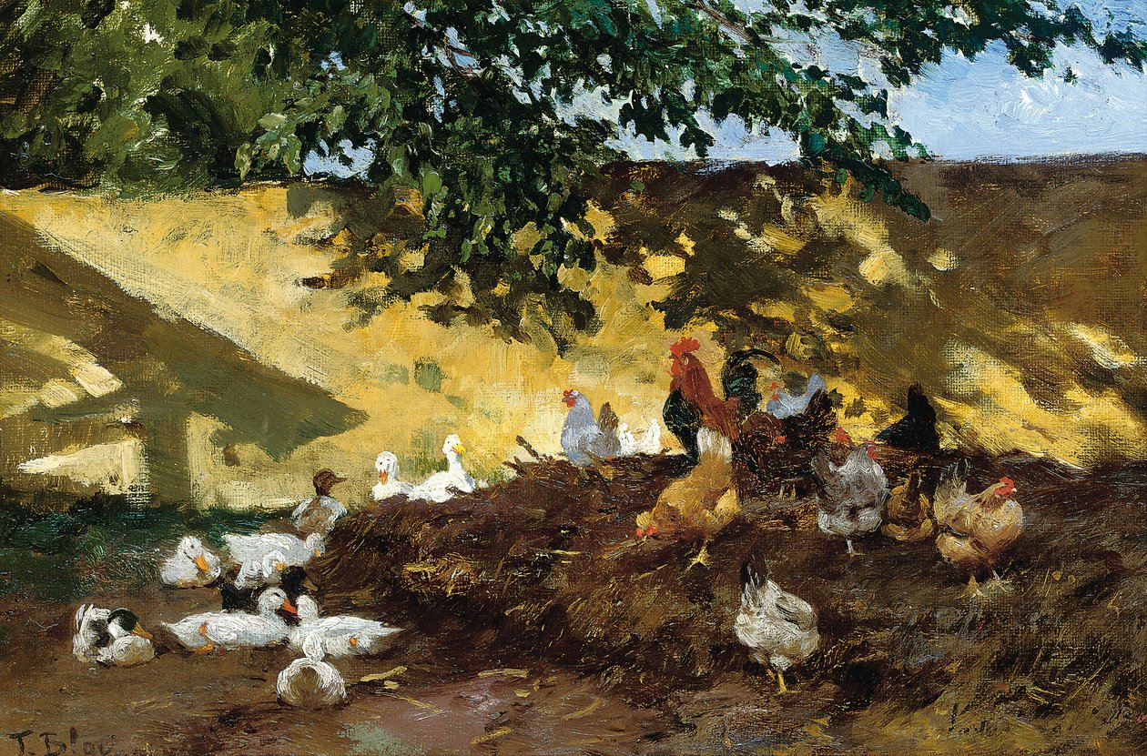 Patos y gallinas en un corral de Tina Blau Lang