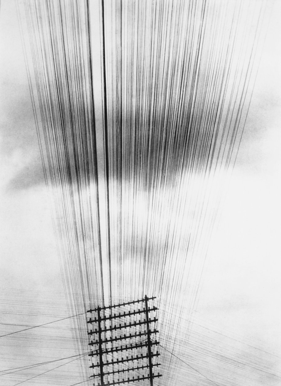 Cables telefónicos, México, 1925 de Tina Modotti