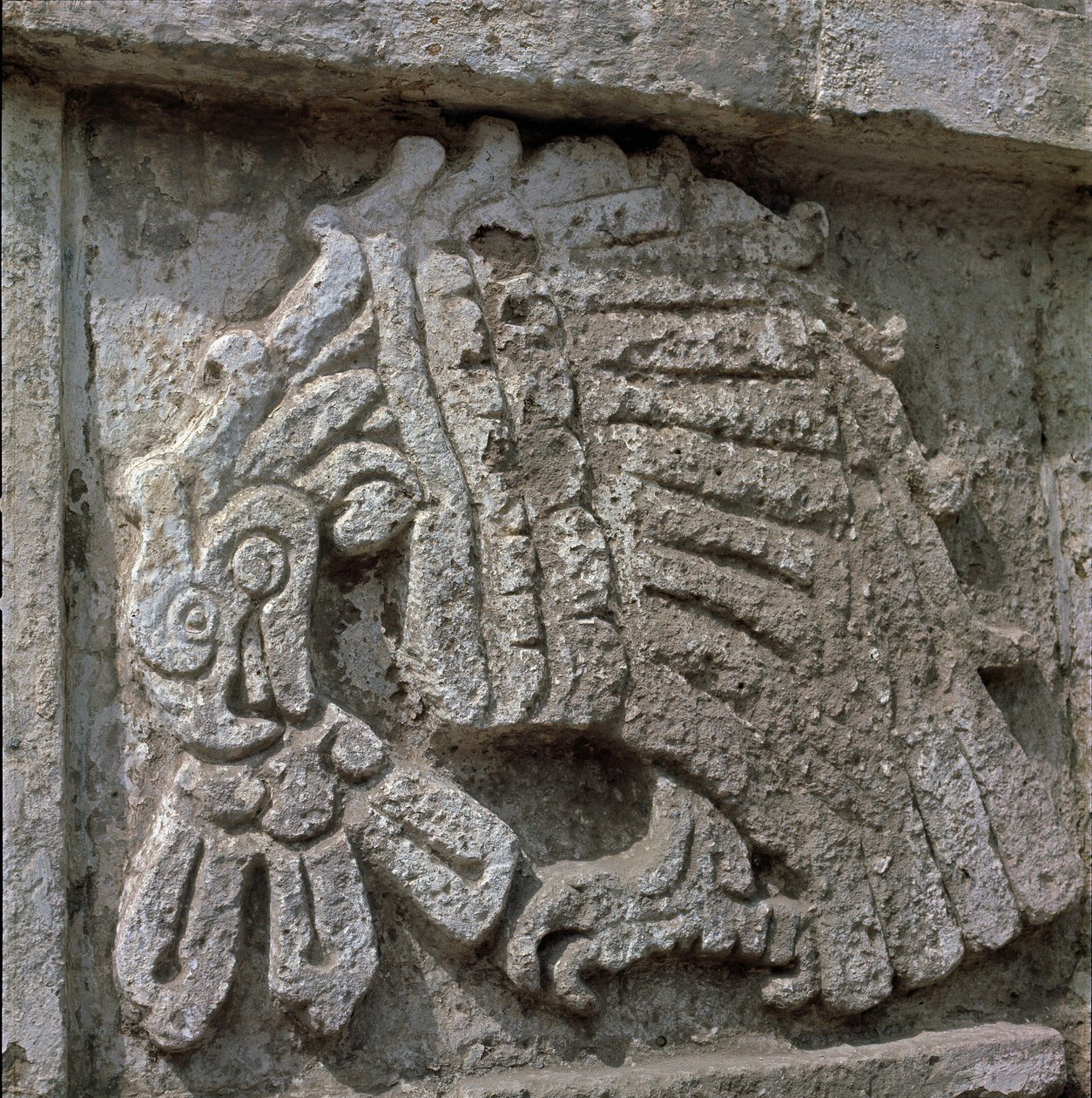 Relieve de un águila, templo de Quetzalcóatl de Toltec Toltec