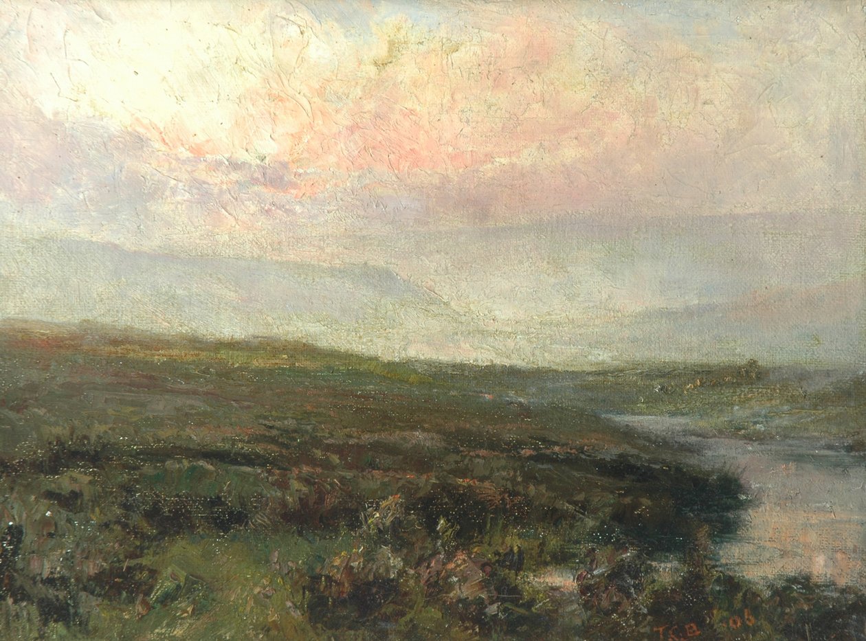 Escena de Páramo de Tom Clifton Butterfield
